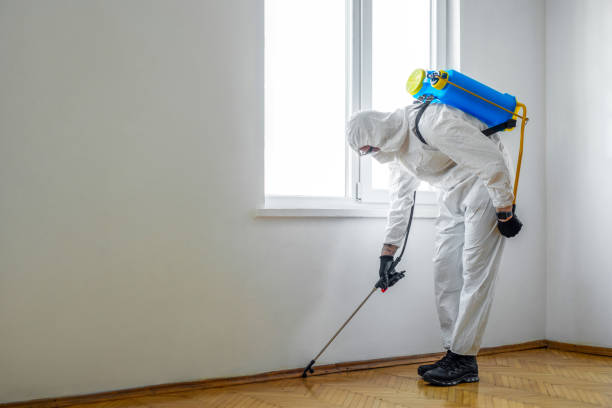 Best Bed Bug Extermination  in Nashville, NC