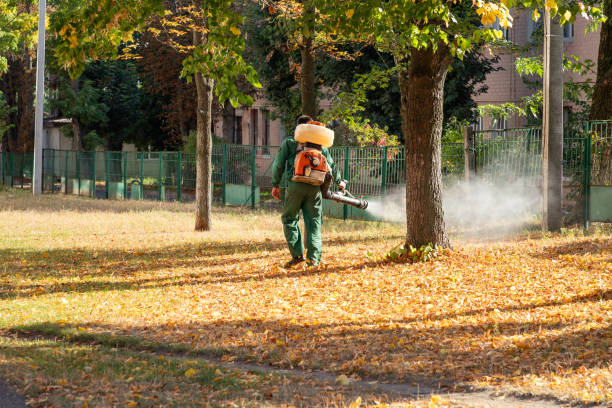 Best Rat Extermination Near Me  in Nashville, NC